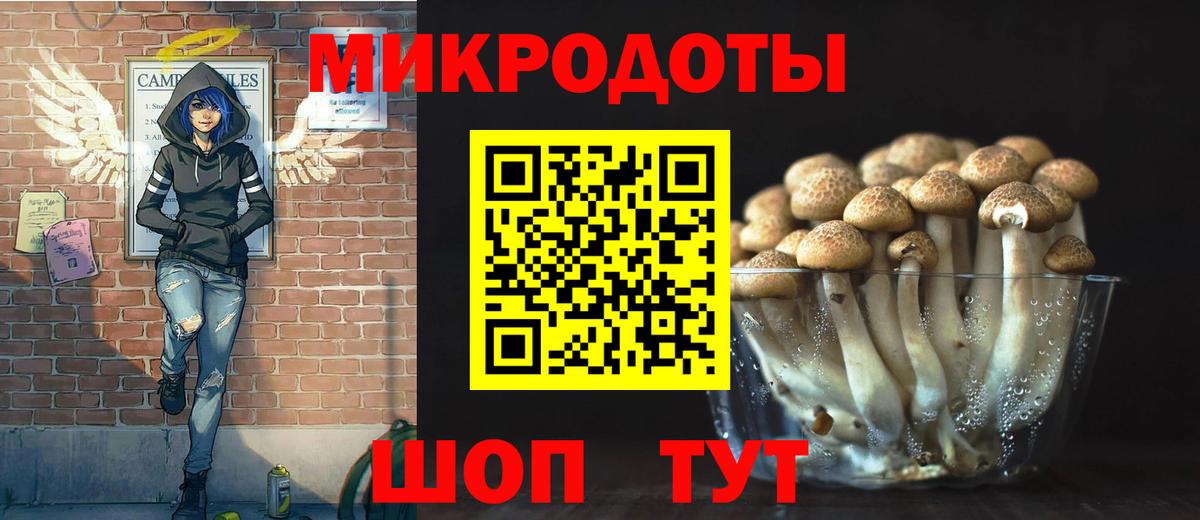 Камышлов  Галлюциногенные грибы мухоморы  Псилоцибиновые грибы мухоморы  Вход с VPN 